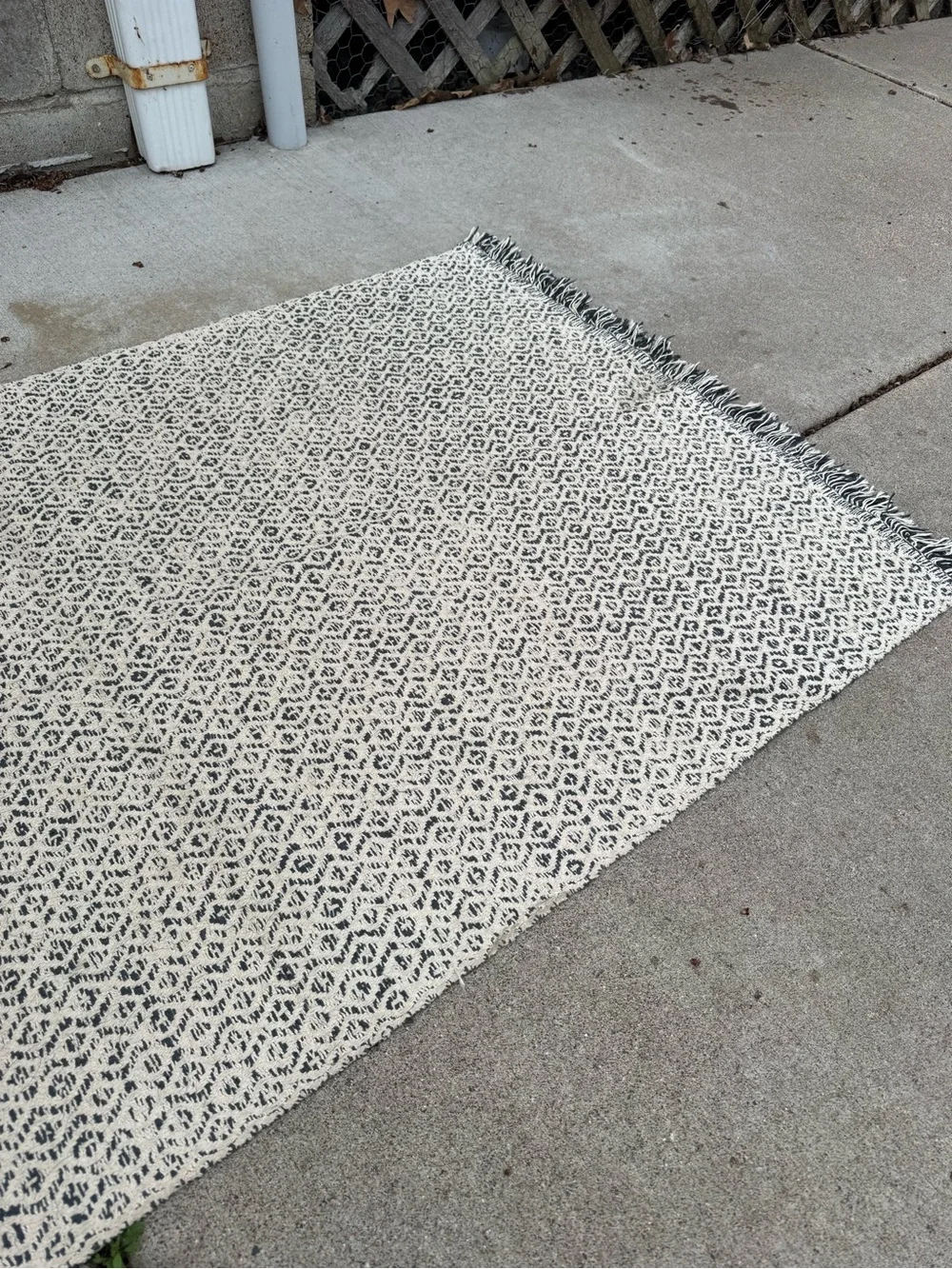 Modern Boho Blue & White Geometric Rug with Fringe